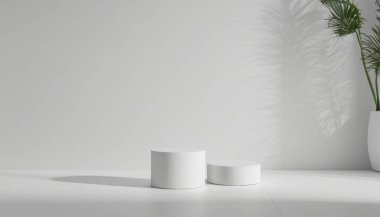 Beyaz duvar arka planı modeller ve tasarım ön gösterimleri için mükemmel. Pankartlar, posterler ya da modeller için en iyi arkaplan.