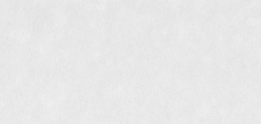 Yaratıcılar için temiz ve detaylı bir beyaz arka plan. Klasik retro fotoğraf beyaz doku prim arkaplanı.