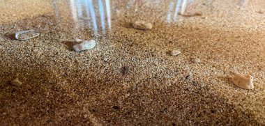 Küçük kabuk parçaları olan ince kum taneleri. Afiş ve poster için kaliteli arkaplan fotoğrafları ve sıcak ve büyüleyici renklerle.