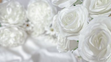 Close-up shot of white roses on a white surface. Modern photos with beautiful and soft color tones for banners and posters.