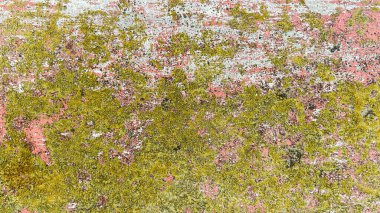 Yeşil yosun ve pembe-beyaz boyayla kaplı beton bir yüzeye yakın plan. Poster afişi arkaplanı ve diğer dijital ihtiyaçlar için klasik retro doku.