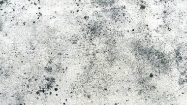 Çatlak ve siyah lekeli beyaz bir duvara yakın plan, sıkıntılı ve dokulu bir yüzey sergiliyor. Poster afişi arkaplanı ve diğer dijital ihtiyaçlar için klasik retro doku.