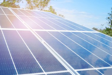Tilt angle blue solar cell panel in garden with sunlight and cloud reflection. Solar cell technology, Power cell alternative source of electricity. Photovoltaic cell panel. Clean energy power concept