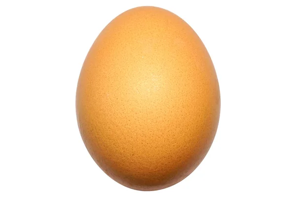 关闭一个在白色背景上分离的褐色鸡蛋 复活节彩蛋一只母鸡生蛋 天然营养食品 健康配料膳食蛋白质产品 — 图库照片