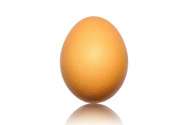 Закрыть Коричневым Куриным Яйцом Отражающей Тенью Изолированной Белом Фоне Одно — стоковое фото