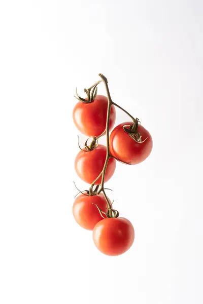 Sarmaşıktaki domates beyaz bir arkaplanda izole edilmiş.
