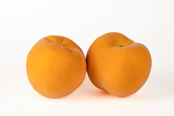 Katedralin manzarası ve Sevilla 'nın kızı