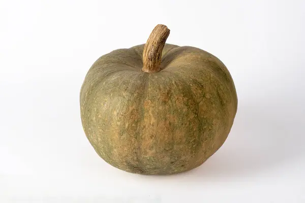 Katedralin manzarası ve Sevilla 'nın kızı