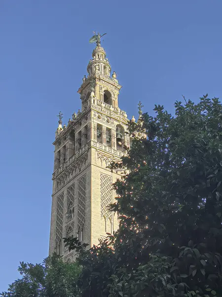 Sevilla 'daki Giralda manzarası Patio de los Narajos' dan