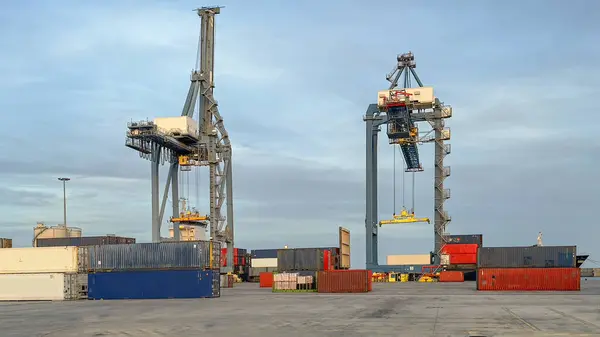 Nakliye vinçleri ve kargo konteynırları yoğun bir limanda