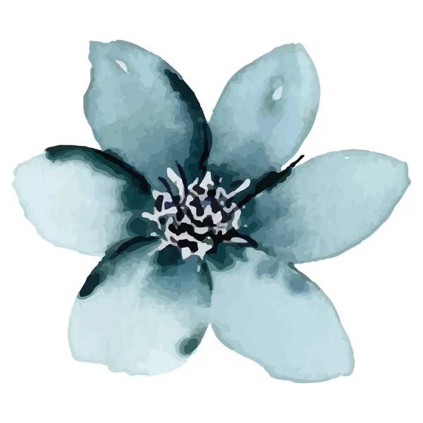 水彩画で美しい花 — ストックベクタ