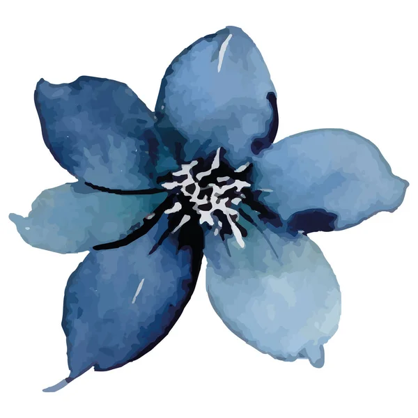 Aquarell Blaue Blume Auf Weißem Hintergrund — Stockvektor