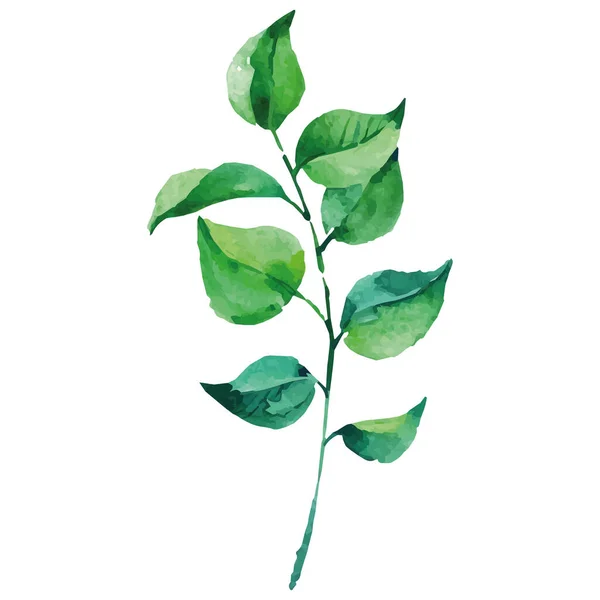 Aquarell Grüne Baumblätter Isoliert Auf Weißem Hintergrund — Stockvektor