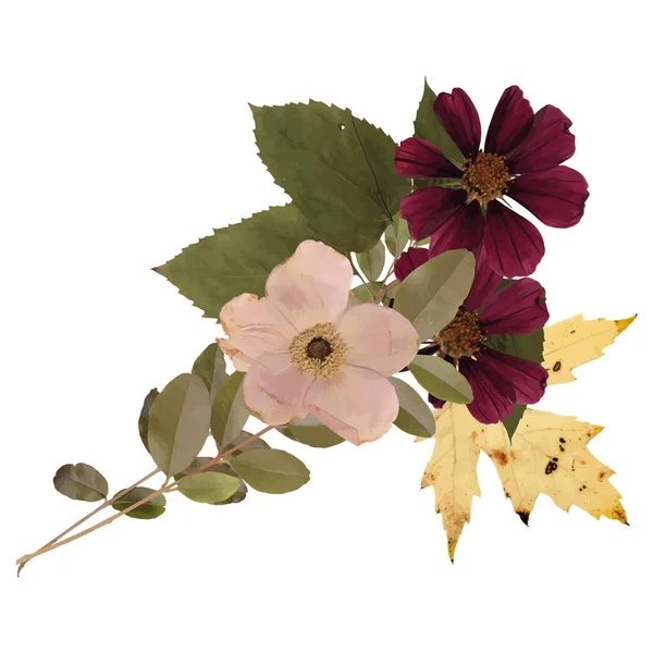 美しい花や植物の概念 — ストックベクタ