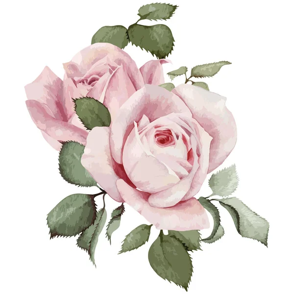 Illustration Vectorielle Belles Roses — Image vectorielle