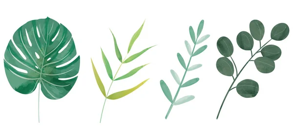 Μοτίβο Όμορφα Φύλλα — Διανυσματικό Αρχείο