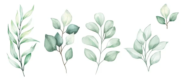Μοτίβο Όμορφα Φύλλα — Διανυσματικό Αρχείο