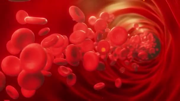 红血球在血液中流动 在动脉中 血红蛋白细胞穿过静脉的三维动画研究 — 图库视频影像
