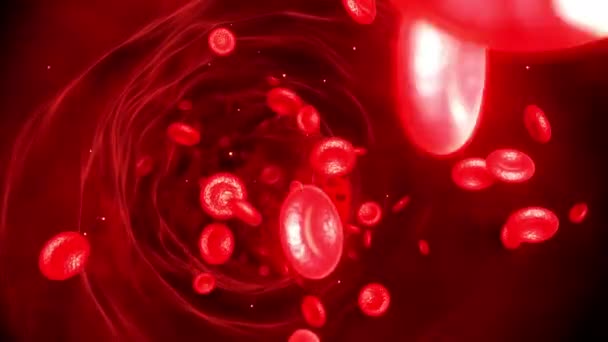 Červené Krvinky Pohybující Krevním Řečišti Tepně Animace Hemoglobin Buněk Putování — Stock video