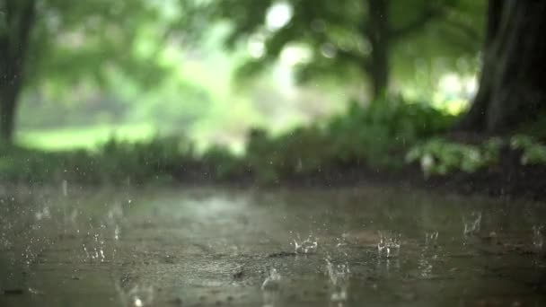 Lassú Mozgás Zárás Őszi Esővíz Cseppek Esnek Nagy Pocsolyába Aszfalton — Stock videók