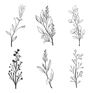 set of hand drawn plants. vector illustration