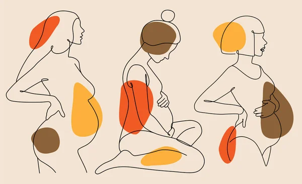 Silueta Vectorial Las Mujeres Embarazadas Sobre Fondo Blanco — Archivo Imágenes Vectoriales
