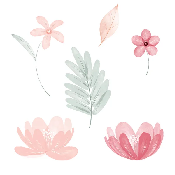 stock vector set with  beautiful flowers