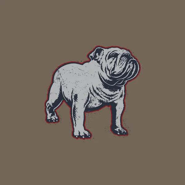 Bull Dog Vektorová Ilustrace — Stockový vektor