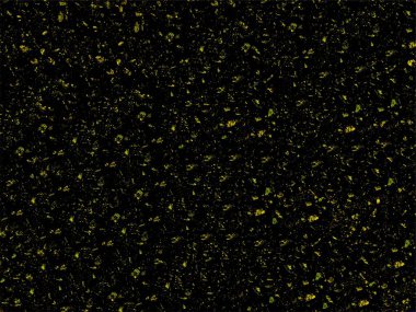 Dark vector natural grunge background with concrete wall texture and yellow large and small grains. UHD 4K wallpapers. For screen, desktop, website design, overlay, stencil, banner, stylization