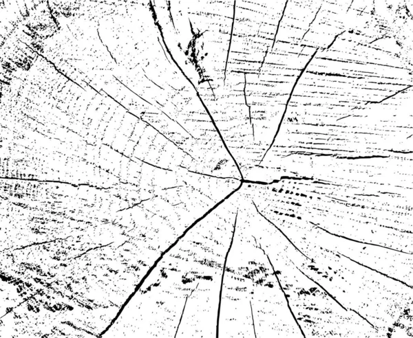 亀裂のあるカットツリーのリングのベクトルグランジテクスチャ 損傷や亀裂と古い破損したログのモノクロームの背景 オーバーレイ テンプレート イラスト — ストックベクタ