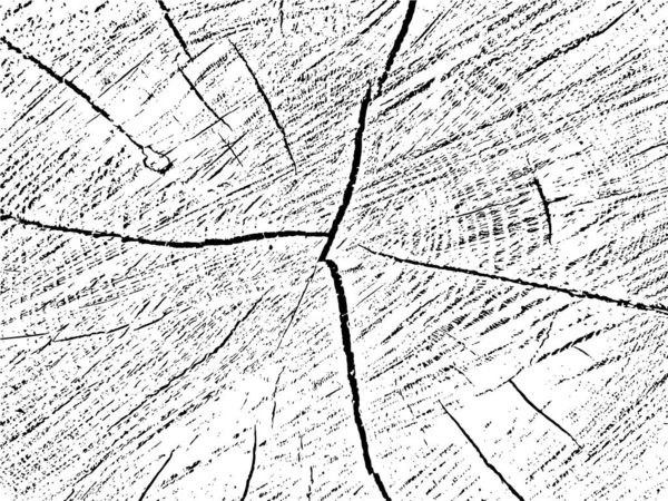 Vektorgrunge Textur Eines Geschnittenen Baumes Mit Rissen Monochromer Hintergrund Eines — Stockvektor
