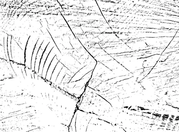 Kavak Ağacının Çatallı Enine Kesitinin Vektör Grunge Dokusu Eski Hasarlı — Stok Vektör