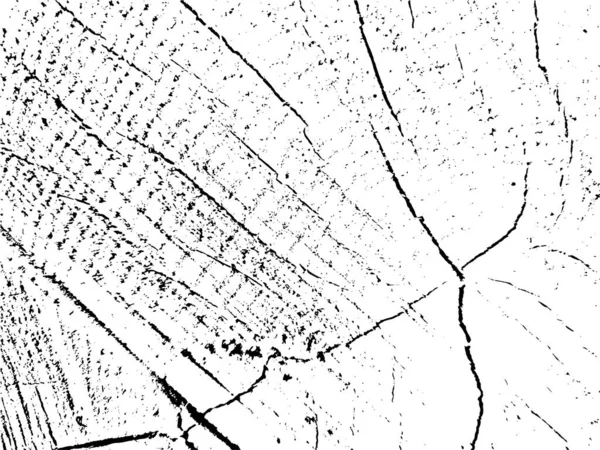 割れリンデンの木の断面のベクトルグランジの質感 古い破損したログのモノクロームの背景 テクスチャオーバーレイ用テンプレート グランジスタイルのステンシル デザイン要素 — ストックベクタ