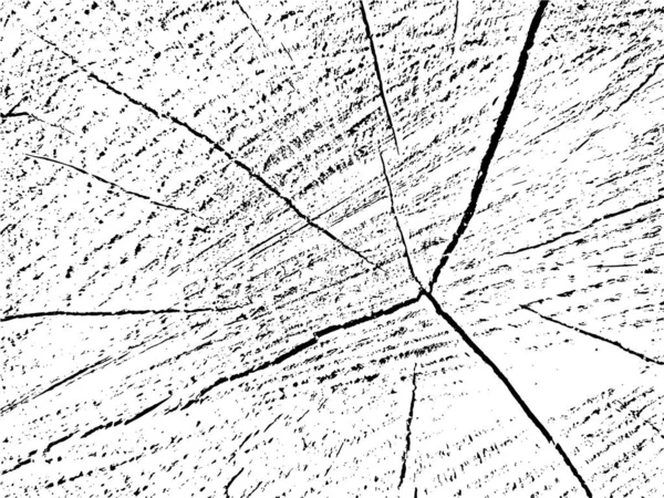Vektor Grunge Textur Ett Tvärsnitt Ett Lärkträd Med Sprickor Monokrom — Stock vektor