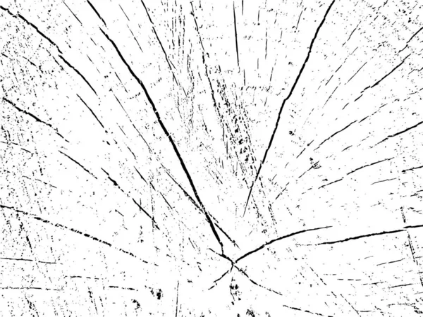 Vektorgrunge Textur Eines Querschnitts Einer Birke Mit Rissen Monochromer Hintergrund — Stockvektor