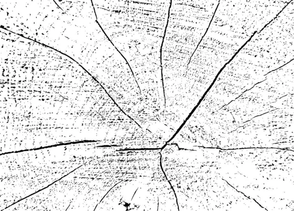 具有裂纹的杨树横断面矢量磨削纹理 旧损坏的原木的单色背景 质感复盖模板 格子风格的模板 设计要素 — 图库矢量图片