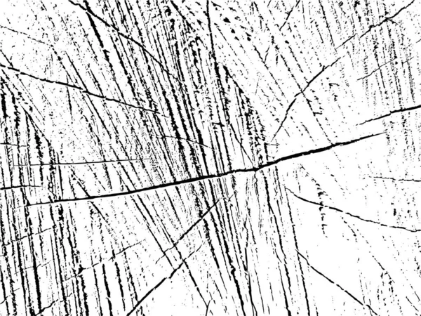 Vektor Grunge Textur Ett Tvärsnitt Kastanj Träd Med Sprickor Monokrom — Stock vektor