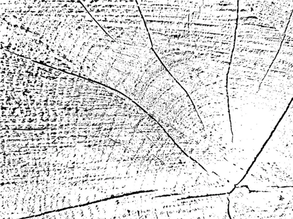 Векторная Гранжевая Текстура Кленового Поперечного Сечения Трещинами Монохромный Фон Старого — стоковый вектор