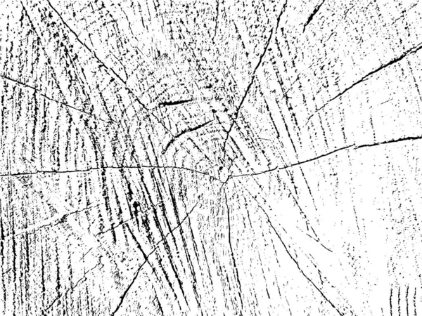 Vektorgrunge Textur Aus Weidenquerschnitt Mit Rissen Monochromer Hintergrund Eines Alten — Stockvektor