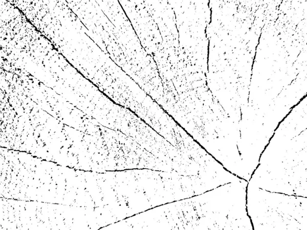 Vektorgrunge Textur Eines Vogelbeerenquerschnitts Monochromer Hintergrund Eines Alten Gesägten Balkens — Stockvektor