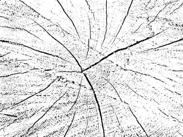 Grunge Vektortextur Eines Kirschquerschnitts Monochromatischer Hintergrund Mit Einem Alten Gesägten — Stockvektor