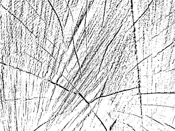 Vector Grunge Texture Mélèze Tree Cross Section Fond Monochrome Vieux — Image vectorielle