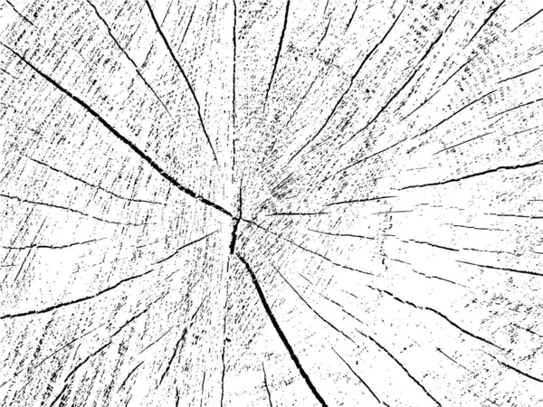 リンゴの木の断面のベクトルグランジのテクスチャ 亀裂のある古い砂のログのモノクロームの背景 オーバーレイまたはステンシルのテンプレート 自然で ユニークなデザイン要素 — ストックベクタ