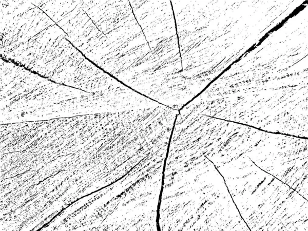在有裂缝的旧锯木的单色背景上 灰树横断面的矢量磨擦纹理 这个模板可以用作覆盖或模板 它提供了一个原始的 自然的 — 图库矢量图片