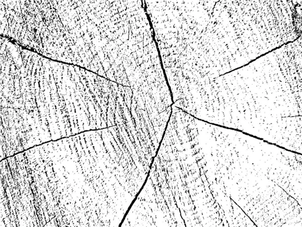 Raw Natural Vector Grunge Texture Oak Tree Cross Section Monochrome — Archivo Imágenes Vectoriales