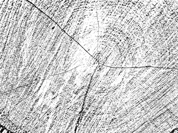Texture Grunge Vectorielle Une Vieille Tranche Arbre Avec Des Fissures — Image vectorielle