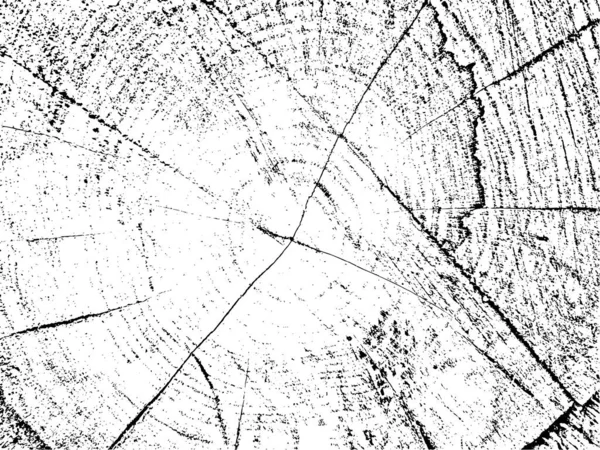 Грандж Текстури Тополі Поперечного Перерізу Тріщинами Органічному Монохромному Розпилюваному Фоні — стоковий вектор
