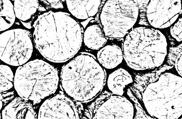 用裂纹 晶粒和同心圆对被砍伐的树的矢量纹理进行磨擦 单色背景 完美的老式 乡村和抽象的设计 — 图库矢量图片