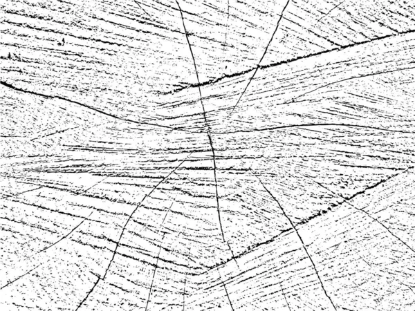 Natuurlijke Houtgrunge Textuur Met Noodlijdende Overlay Monochroom Abstract Oppervlak Met — Stockvector