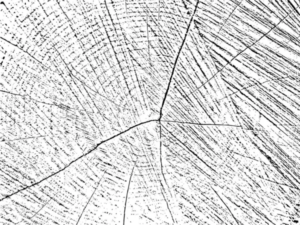 Vintage Grunge Textur Eines Alten Gesägten Baumes Mit Rissen Monochromer — Stockvektor